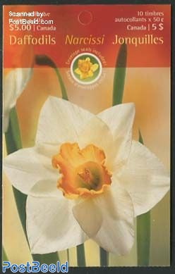 Flowers booklet, Daffodil